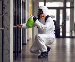 Why You Should Choose Our Mold Remediation Services in Grayson, GA